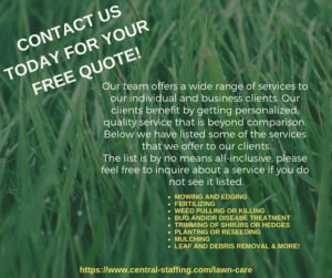 Central Staffing Solutions